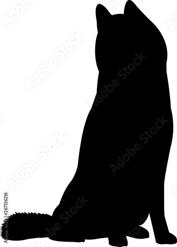 Siberian Husky 6 isolated vector silhouette
