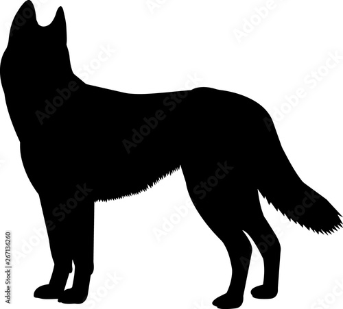 Siberian Husky 9 isolated vector silhouette