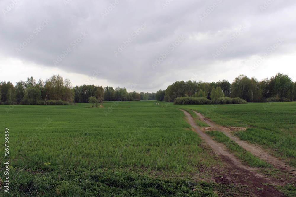Obraz premium Road in the field of central Russia