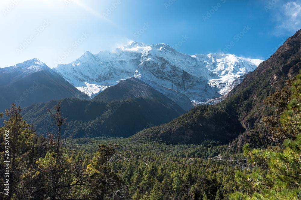 Forest viewpoint in the Himalayas Peaks of Annapurna Circuit