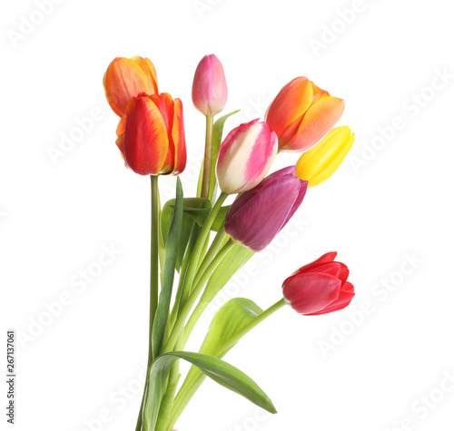 Fototapeta Naklejka Na Ścianę i Meble -  Beautiful bright tulips on white background. Spring flowers