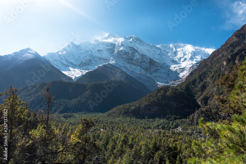 Forest viewpoint in the Himalayas Peaks of Annapurna Circuit
