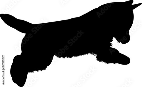 Westie dog 9 isolated vector silhouette photo