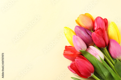 Fototapeta Naklejka Na Ścianę i Meble -  Beautiful tulips and space for text on color background, top view. Spring flowers