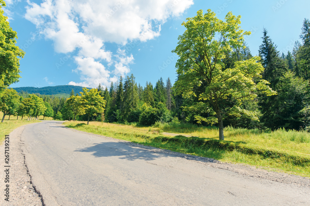 old country road in to the mountains. nature scenery with trees along the way. sunny summer landscape with clouds on a blue sky old country road in to the mountains. nature scenery with trees along the way. sunny summer landscape with clouds on a blue sky