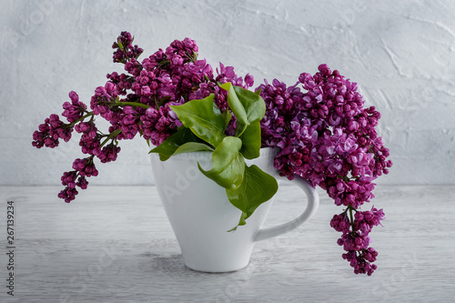 Lilac flowers in a cup © ires007