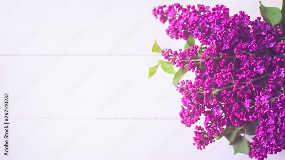 lilac branches on white wooden background top view. background with lilac and copy space. branches lilac flat lay. lilac branches on white wooden background top view. background with lilac and copy space. branches lilac flat lay.