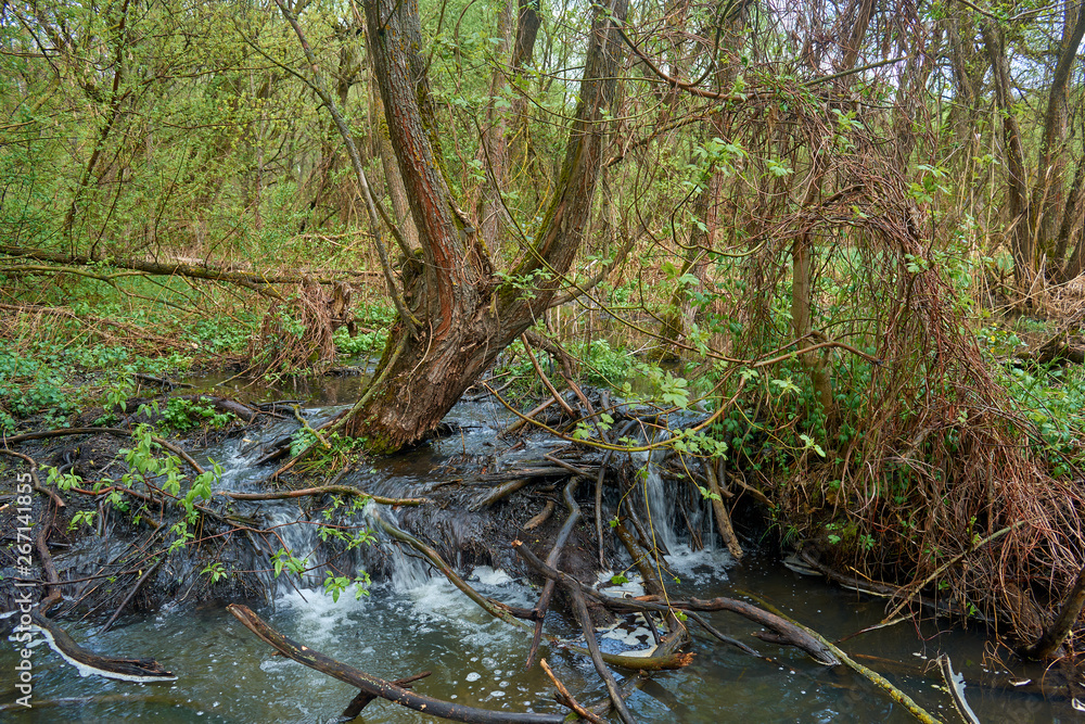 Cascading river with beautiful river thresholds in the forest. Cascading river with beautiful river thresholds in the forest.