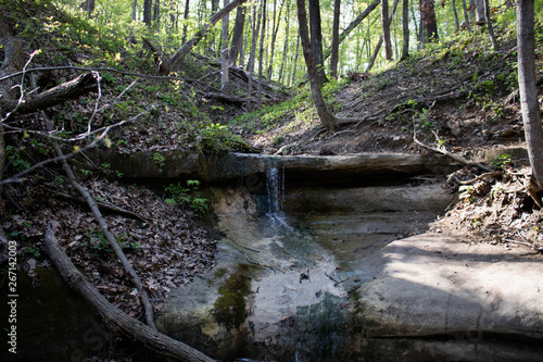 river in the forest