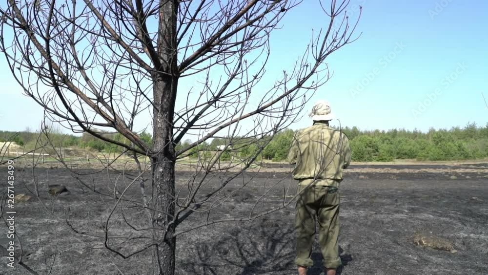 lonely man standing under the burned tree on the field after the wildfire, ecology catastrophe disaster, despair and solitude and sorrow and loneliness lonely man standing under the burned tree on the field after the wildfire, ecology catastrophe disaster, despair and solitude and sorrow and loneliness
