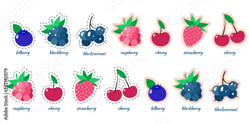 Berries illustration. Cherry, strawberry, raspberry, blueberry, bilberry, black currant design for greeting card, invitation, tshirt, sticker. 