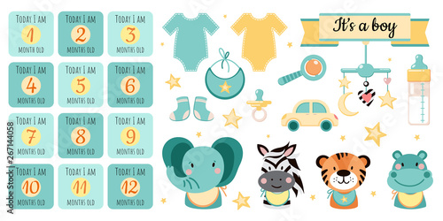 Baby boy illustrations. Set of baby shower elements and animals isolated on white background. The first year of life. 1-12 months. Can be used for stickers, invitations, cards and posters.