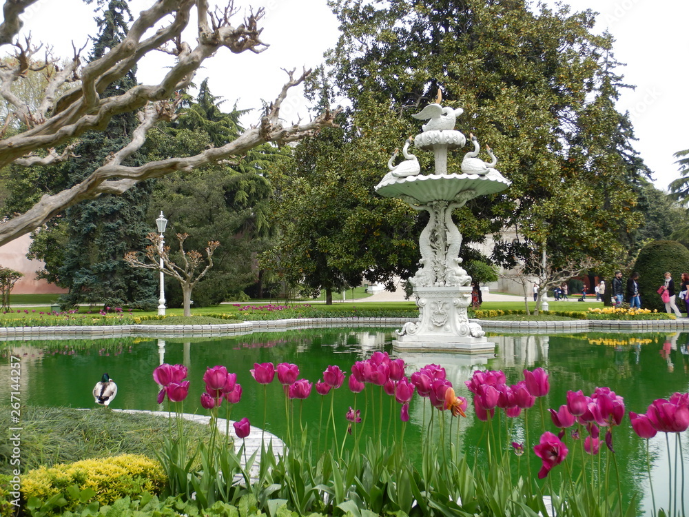 Obraz premium garden
