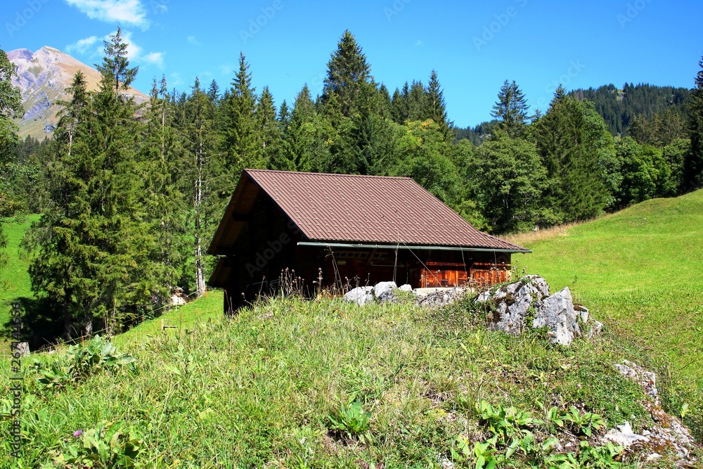 Fototapeta premium Hütte in den Bergen