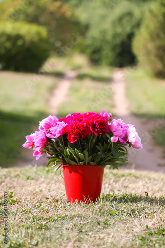 Beautiful red and pink peony flowers bouquet in the bucket on rural nature background