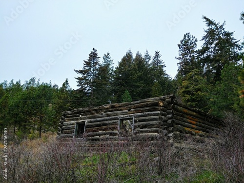 Abandoned Cabin