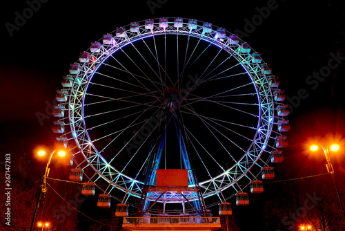 Entertainment in the park. Ferris wheel at night
