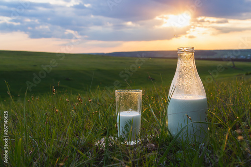 Bottle and glass with milk on the grass against a backdrop of picturesque green meadows with flowers at sunset summer day. Fresh organic food.