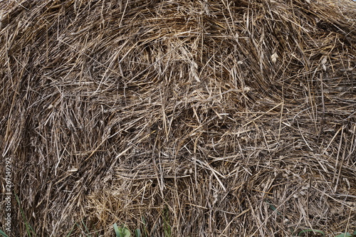 on the field lies an old hay roll