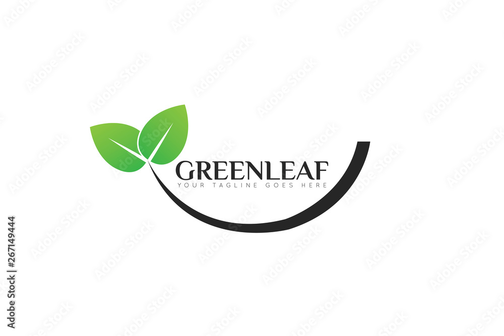 leaf logo and icon Vector illustration design Template leaf logo and icon Vector illustration design Template