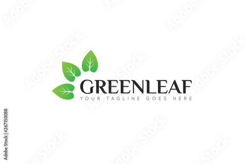 leaf logo and icon Vector illustration design Template