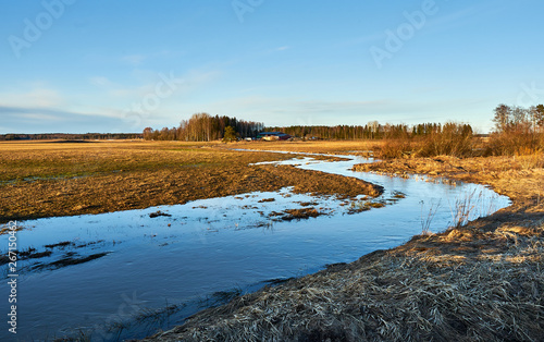 Flooding river in spring