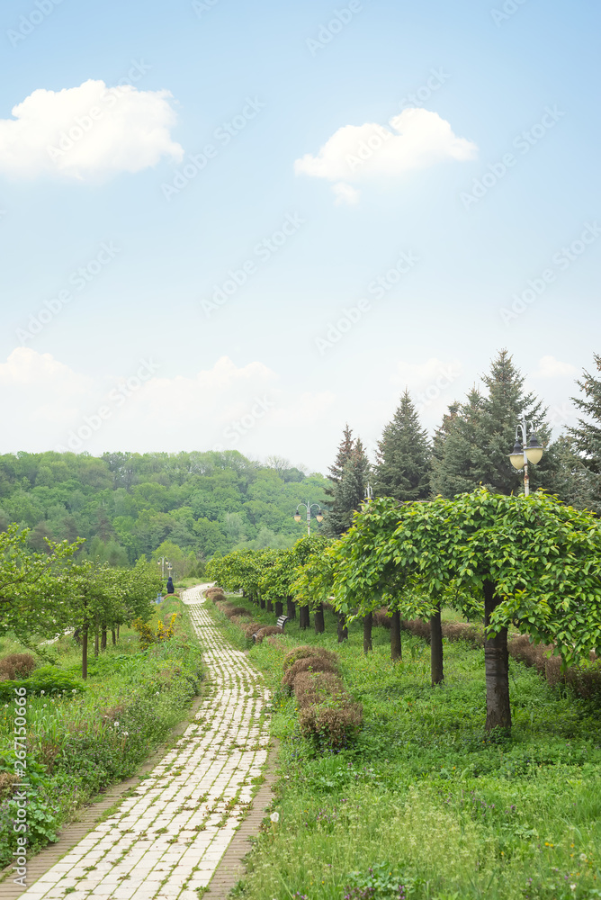 beautiful green park Theophania.Landscape. Popular tourist landmark.Big natural Feofaniya garden in Kyiv city