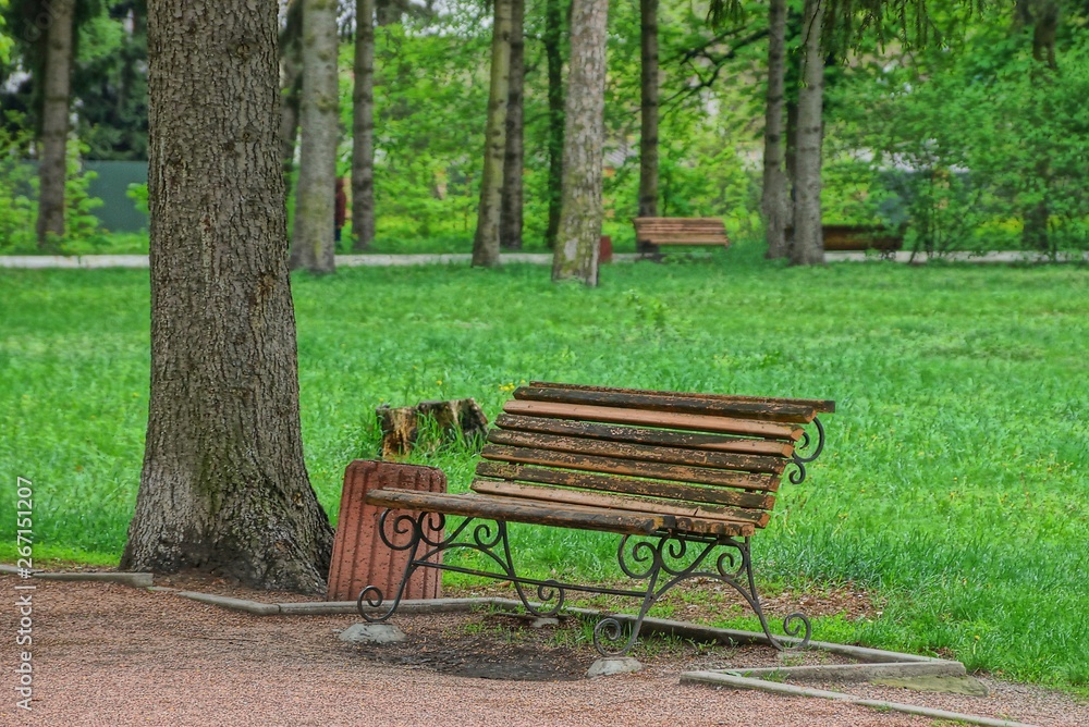 wooden bench and a urn are standing on an alley in the park among green grass and trees