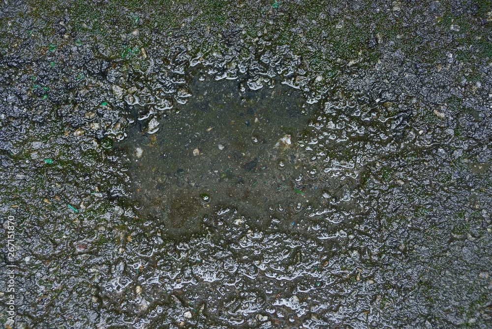 one dirty puddle on the gray wet asphalt road