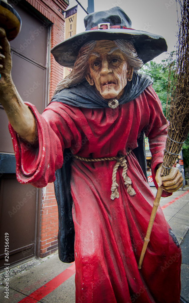Obraz premium an old halloween witch lady with broom stick