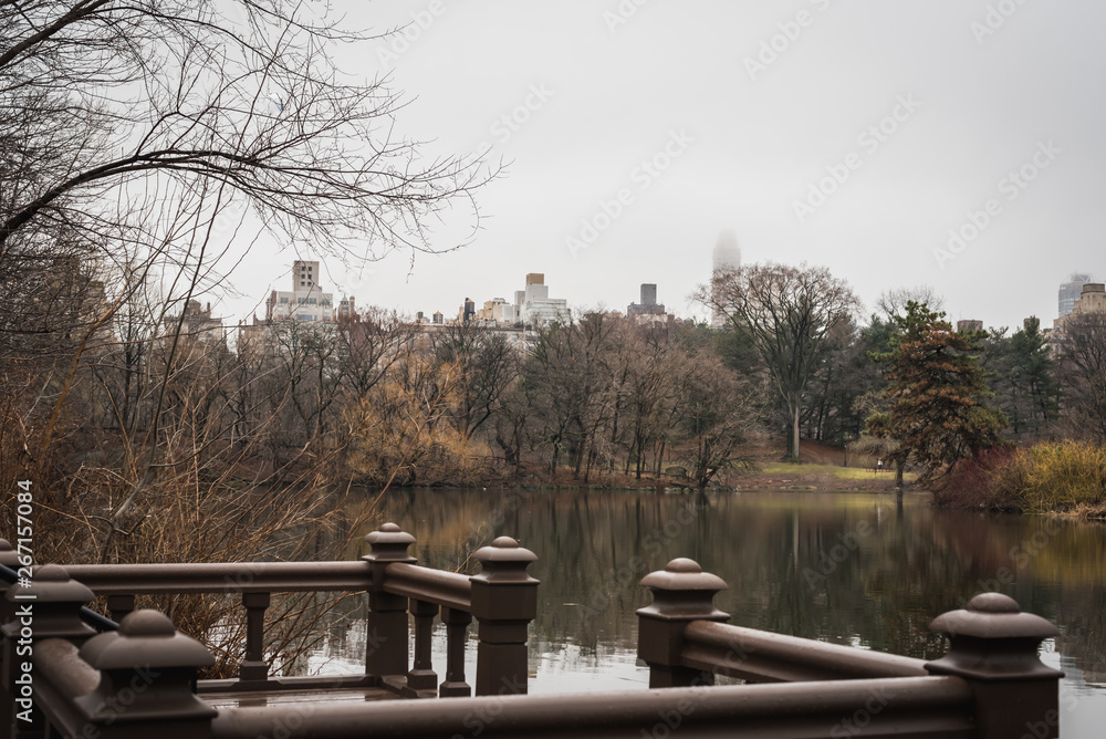 Central Park Lake under mist and New York City rain - New York City, NY