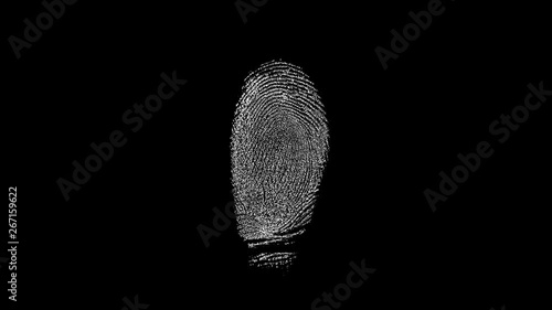 Fingerprint Database Scan. A loop of different fingerprints cycling through a database to overlay on other footage. photo