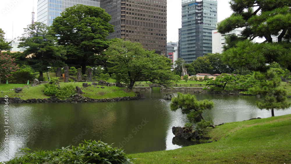 Fototapeta premium park in the city