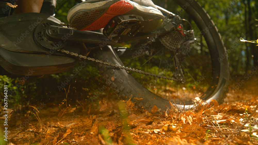 Naklejka premium LOW ANGLE: Male mountain biker rides his bike through the dry fallen leaves.
