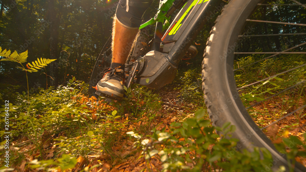 Naklejka premium CLOSE UP Leaves and tiny branches fly in air as mountain biker rides his bicycle