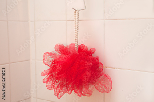 Фотография Red loofah in shower