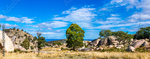panorama rocks and tree near 'Draining Rock' Tenterfield NSW Australia photo