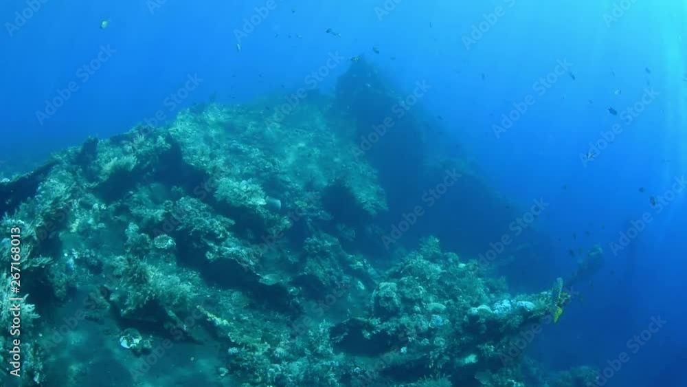 Liberty Shipwreck. Underwater world. Fish, coral reeff, blue ocean. Tulamben, Bali, Indonesia. Liberty Shipwreck. Underwater world. Fish, coral reeff, blue ocean. Tulamben, Bali, Indonesia.