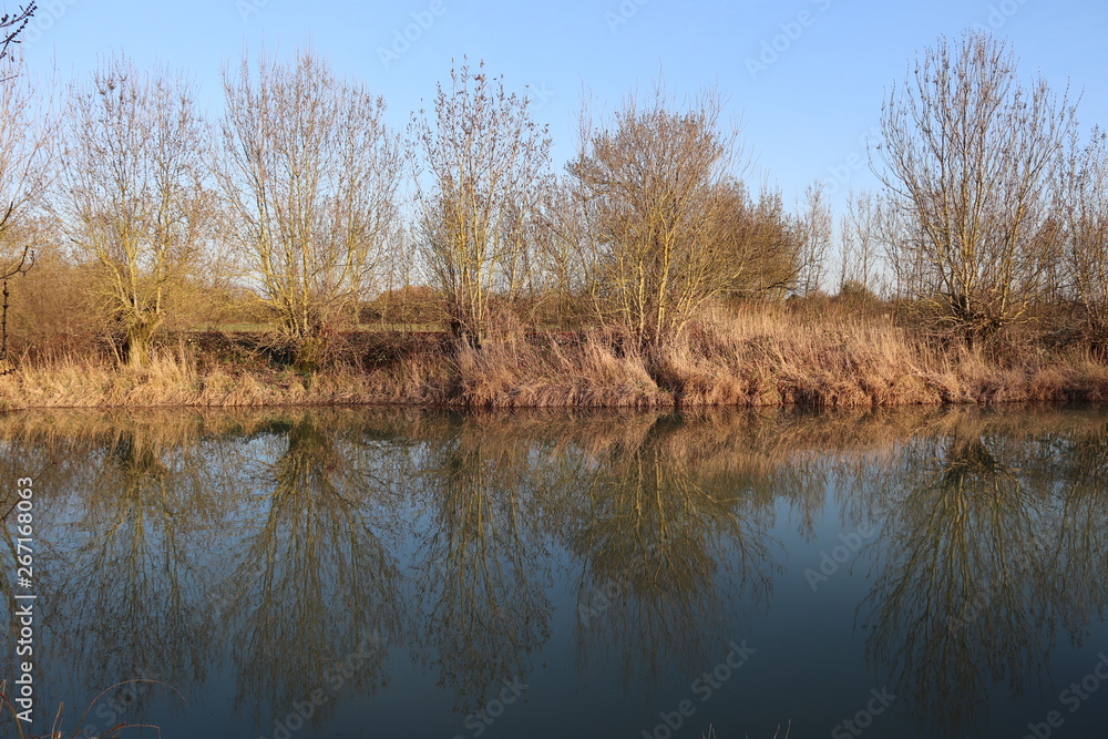 Arbres le long du canal Marans - La Rochelle