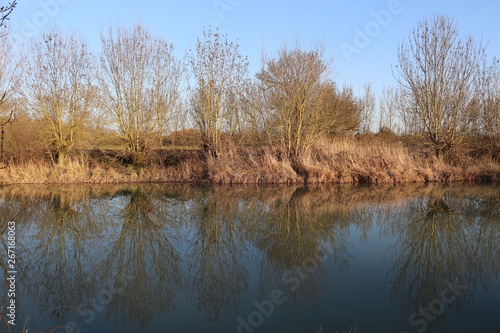 Arbres le long du canal Marans - La Rochelle