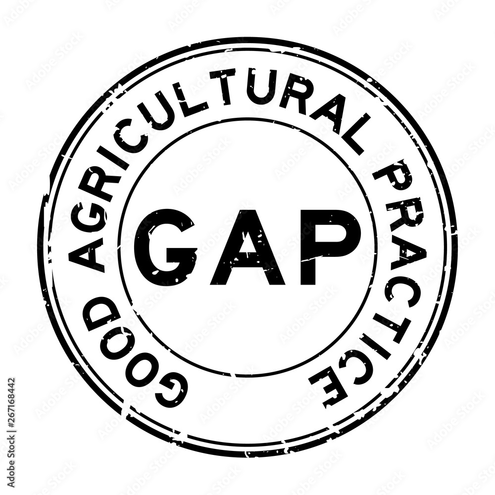 Grunge black GAP (abbreviation of good agricultural practice) word round rubber seal stamp on white background