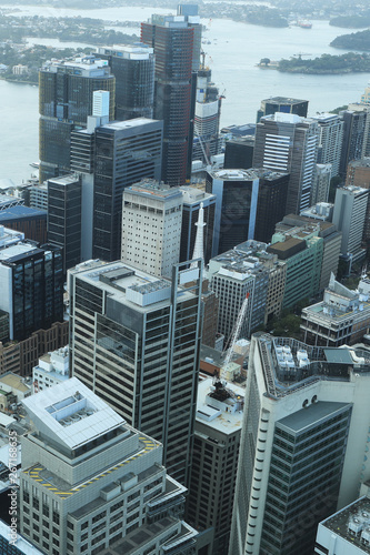 Vertical aerial of Sydney  Australia skyline