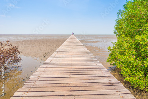 Nature Trail  Environmental Mangrove Forest  Laem Phak Bia Project Phetchaburi Province  Thailand