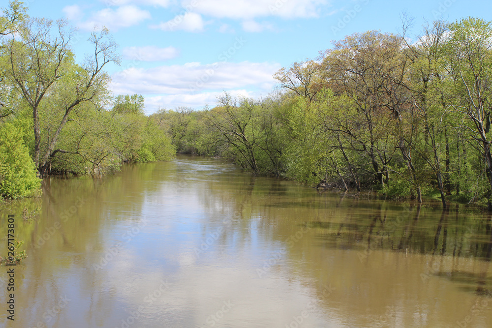 Muddy Des Plaines River at Campground Road Woods in spring