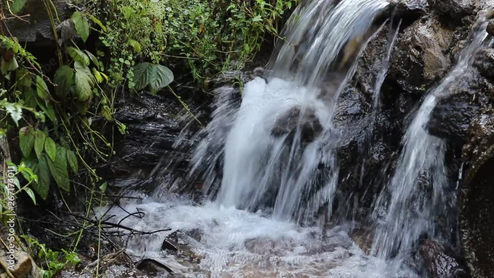 Little small stream and clear transparent water Little small stream and clear transparent water