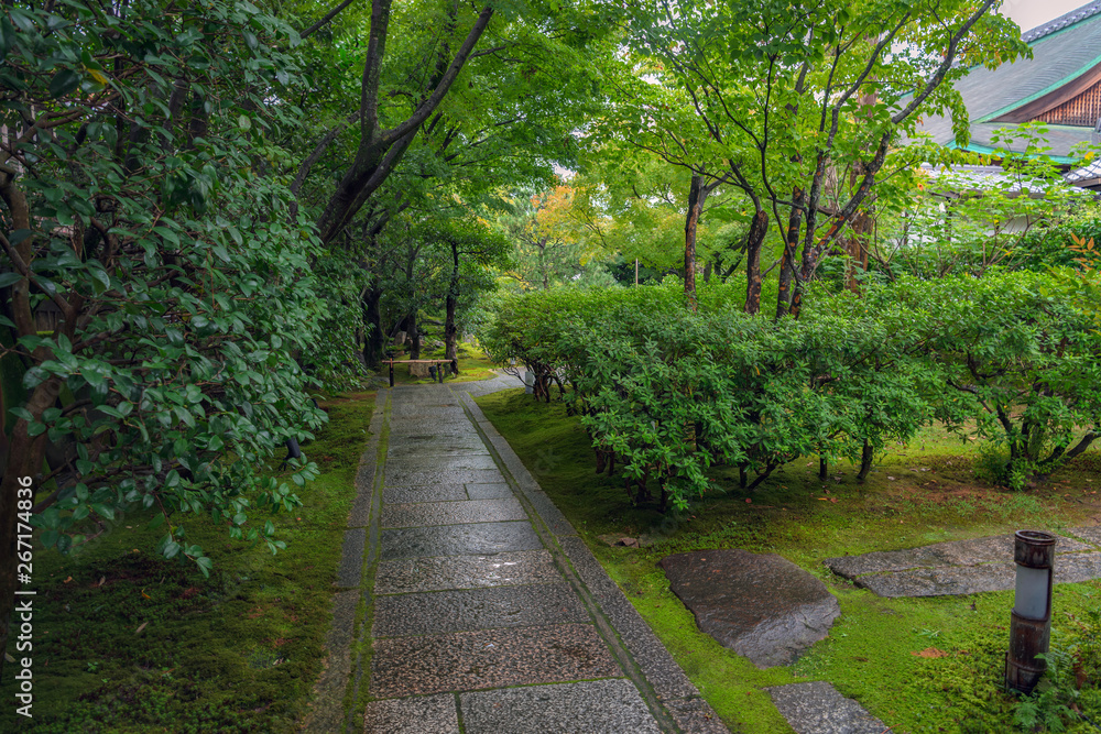 圓徳院 雨上がりの参道