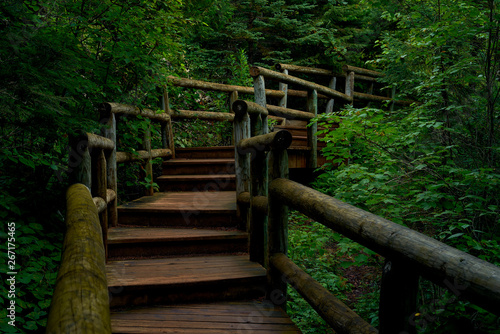 cascading wooden steps  cascade river state park  mn