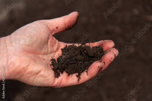 fresh fertile soil in men's palms close-up