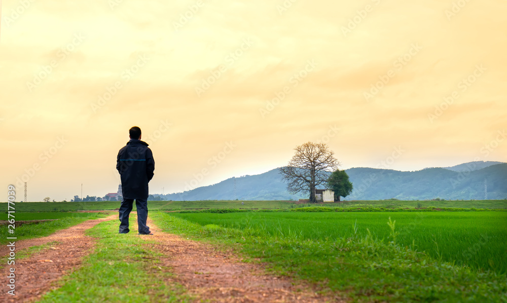 Traveler man in raincoat clothes standing watching an ancient bombax ceiba plant in the countryside of Vietnam Traveler man in raincoat clothes standing watching an ancient bombax ceiba plant in the countryside of Vietnam