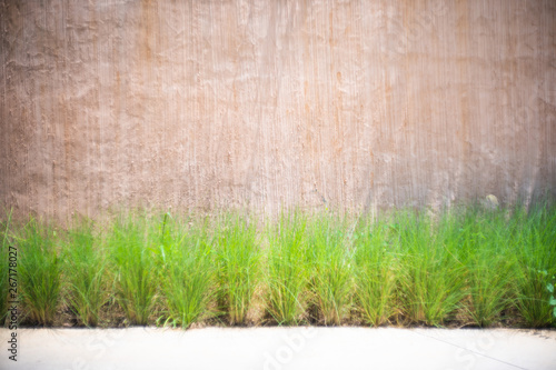 plain wall and green grass